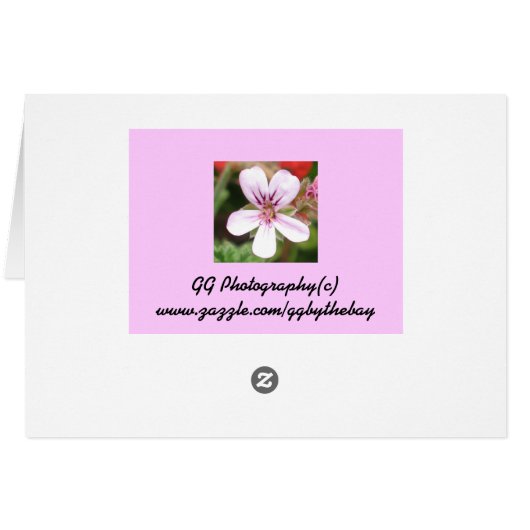 Scented Geranium Card (Back Horizontal)