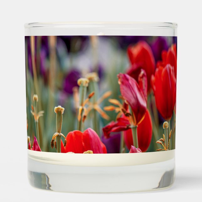 Scented Jar Candle (Front)