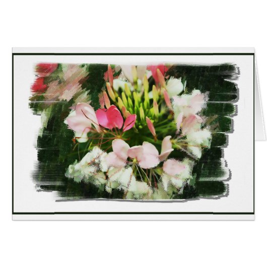 Scents of Color Cards (Front Horizontal)