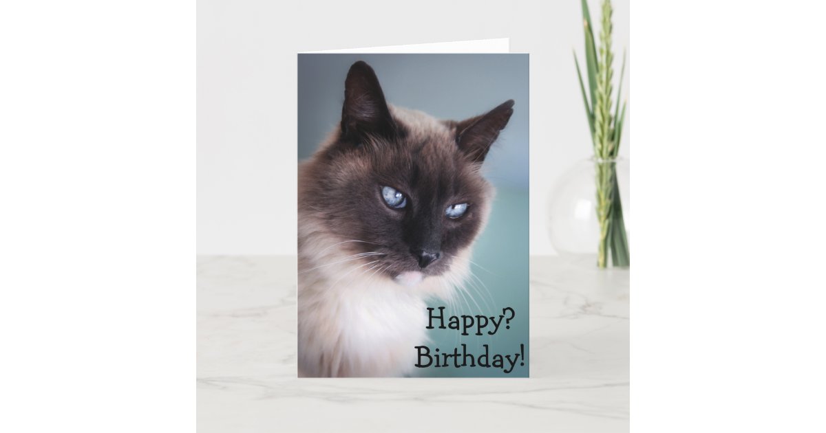 Sceptical Or Grumpy Cat Happy Birthday Card Zazzle Com
