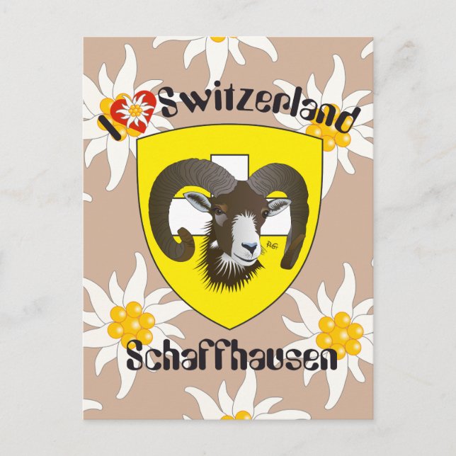 Schaffhausen Schweiz Postkarte Postcard (Front)