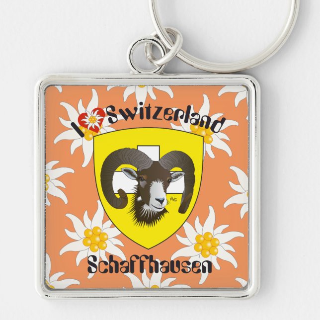 Schaffhausen Schweiz  Schlüsselanhänger Keychain (Front)