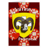 Schaffhausen Schweiz Suisse Svizzera Grusskarte (Front)