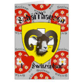 Schaffhausen Schweiz Suisse Svizzera Grusskarte (Front)