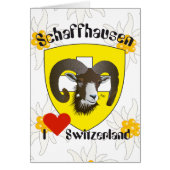 Schaffhausen Schweiz Suisse Svizzera Grusskarte (Front)
