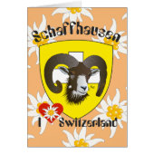 Schaffhausen Schweiz Suisse Svizzera Grusskarte (Front)