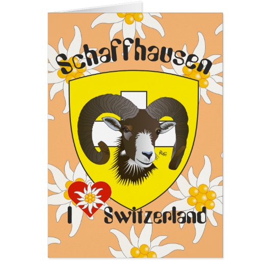 Schaffhausen Schweiz Suisse Svizzera Grusskarte (Front)