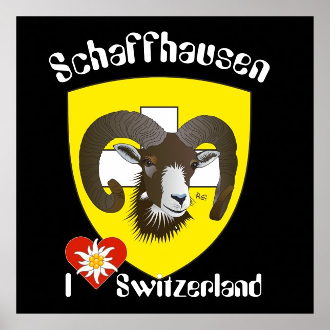 Schaffhausen - Schweiz - Suisse - Svizzera Poster (Front)