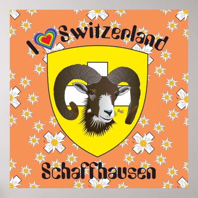 Schaffhausen - Schweiz - Suisse - Svizzera Poster (Front)