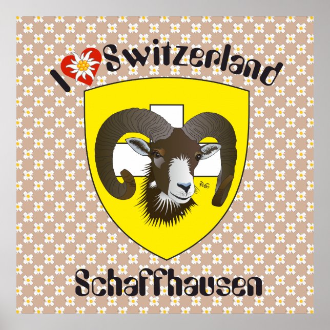 Schaffhausen - Schweiz - Suisse - Svizzera Poster (Front)