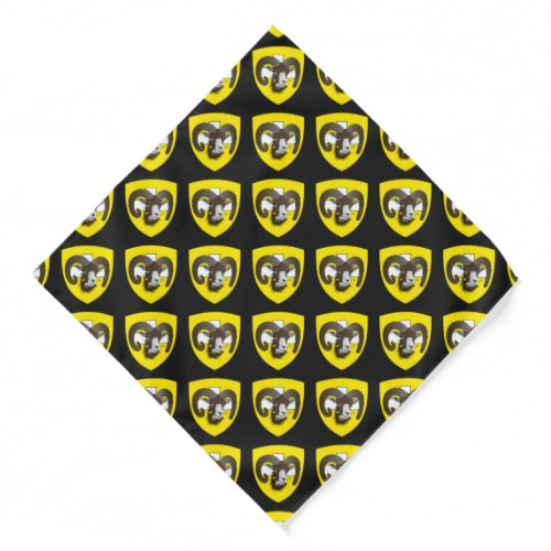 Schaffhausen Schweiz Suisse Svizzera Svizra Schal Bandana