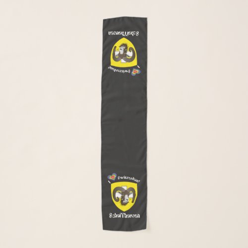 Schaffhausen Schweiz Suisse Svizzera Svizra Schal Scarf