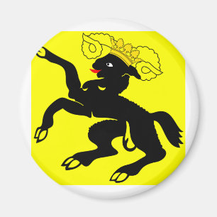 Schaffhausen, Switzerland Magnet