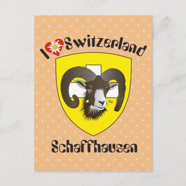 Schaffhausen Switzerland postcard (Front)