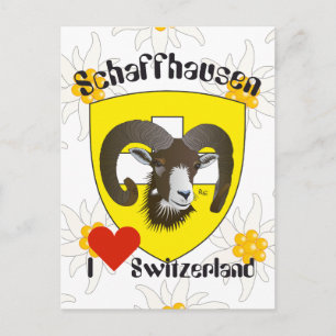 Schaffhausen Switzerland postcard
