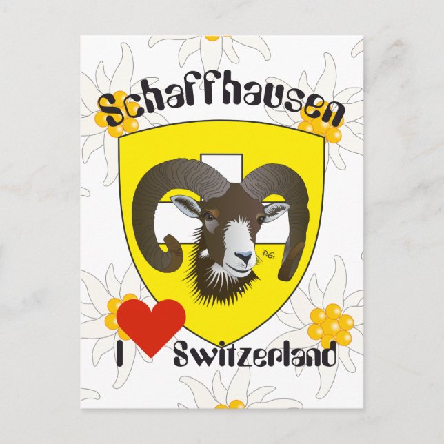 Schaffhausen Switzerland postcard (Front)