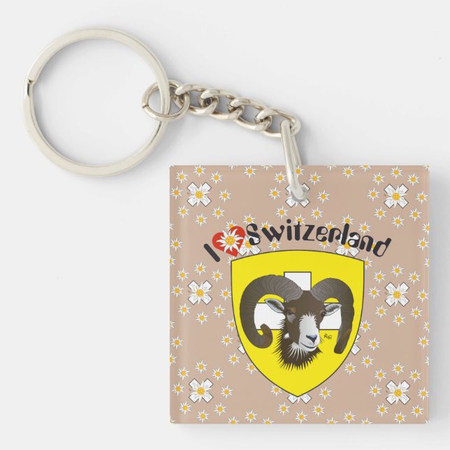 Schaffhausen - Switzerland - Suisse - Svizzera Keychain (Front)