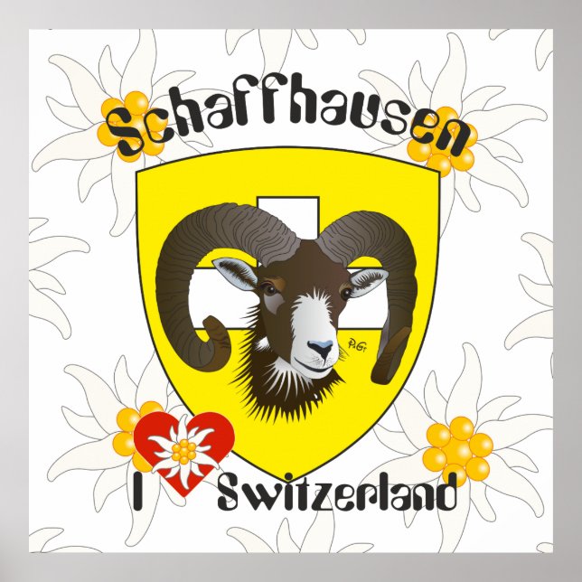 Schaffhausen - Switzerland - Suisse - Svizzera Pos Poster (Front)