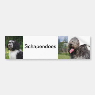 schapendoes bumper sticker