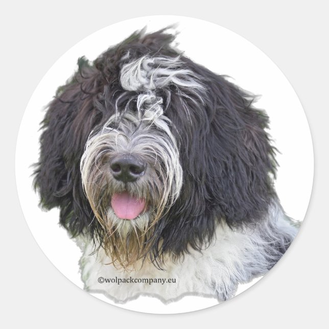 schapendoes classic round sticker (Front)