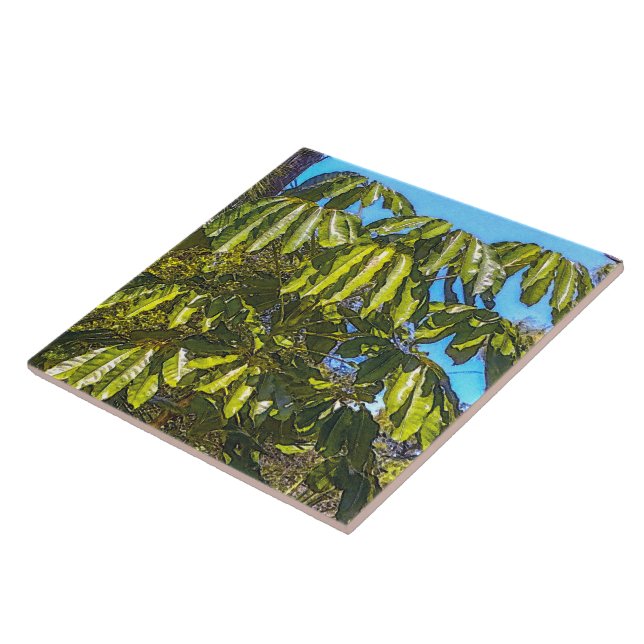 Schefflera Umbrellas Ceramic Tile (Side)
