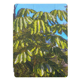Schefflera Umbrellas iPad Smart Cover