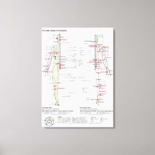 Schematic Chart Chinese Human Body Meridians Canvas Print