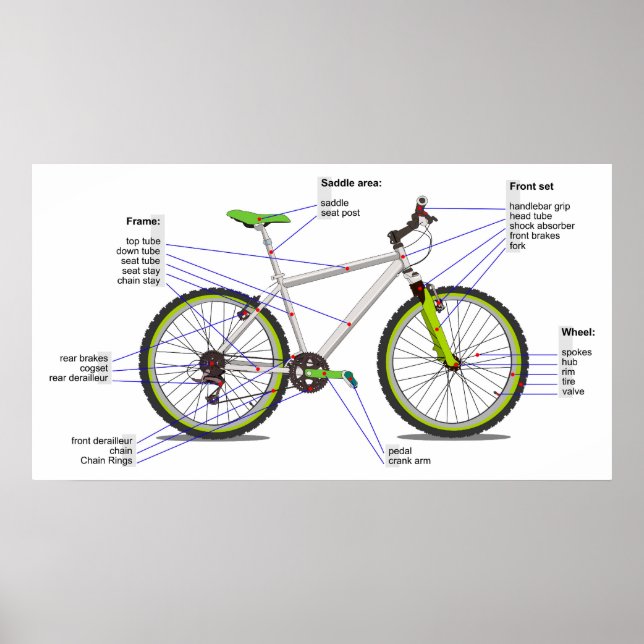 Schematic Diagram of a Bicycle. Poster (Front)