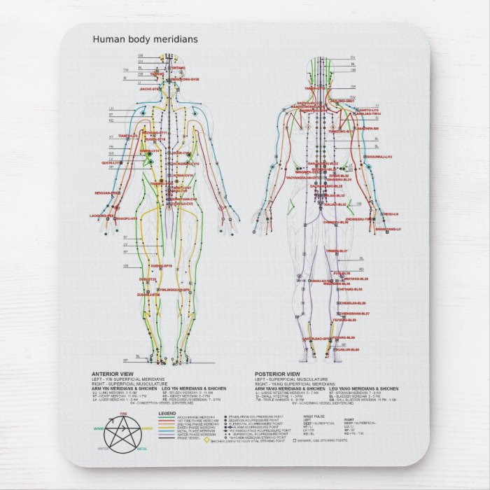 Schematic of the Chinese or Human Body Meridians Mouse Pad