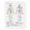 Schematic of the Chinese or Human Body Meridians
