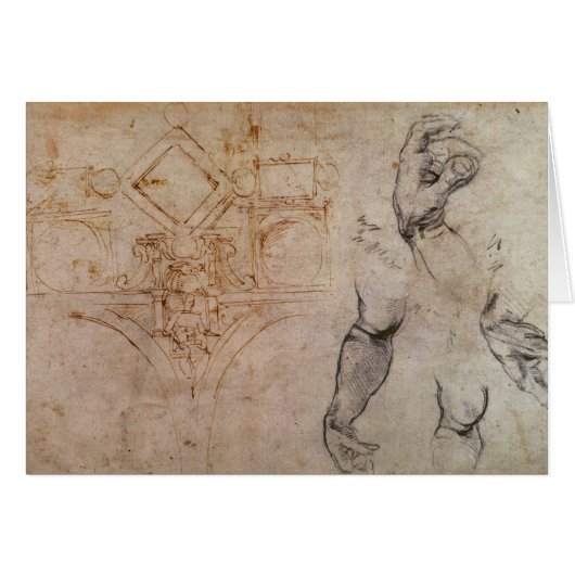 Scheme for the Sistine Chapel Ceiling, c.1508 Cards (Front Horizontal)