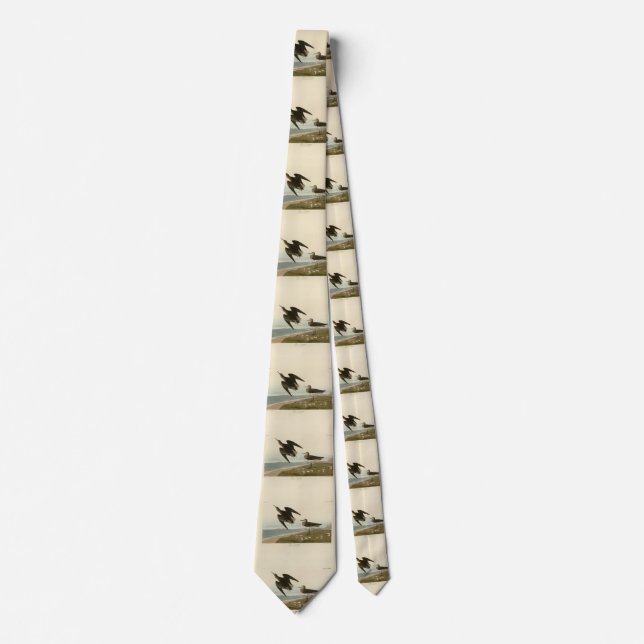 Schinz's Sandpiper from Audubon's Birds of America Neck Tie (Front)