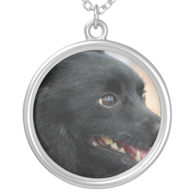 schipperke-1.jpg silver plated necklace (Front)
