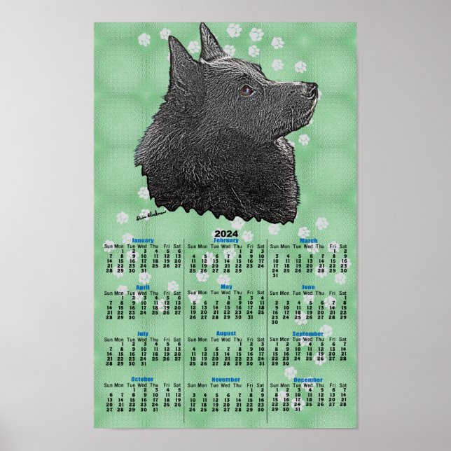 Schipperke 2024 Calendar Poster (Front)