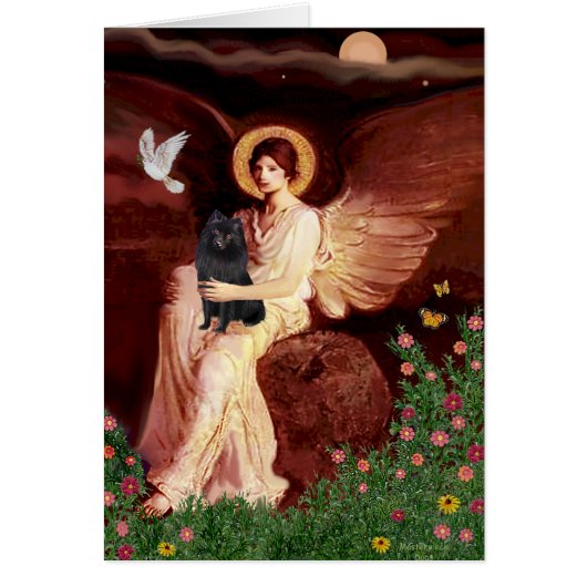 Schipperke 2 - Seated Angel Cards (Front)
