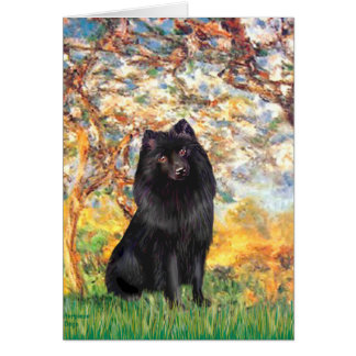 Schipperke 2 - Spring Cards