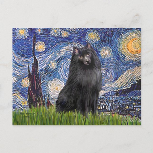 Schipperke 2 - Starry Night Postcard (Front)