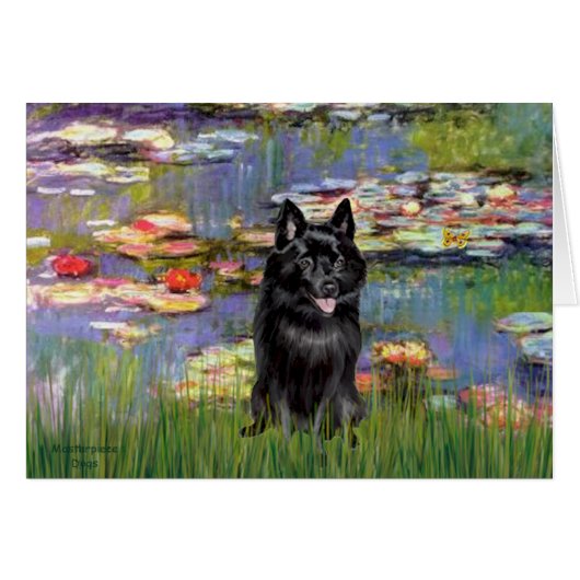 Schipperke 4 - Lilies 2 Cards (Front Horizontal)