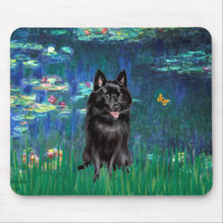 Schipperke 4 - Lilies 5 Mouse Pad