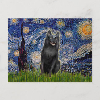 Schipperke 5 - Starry Night Postcard