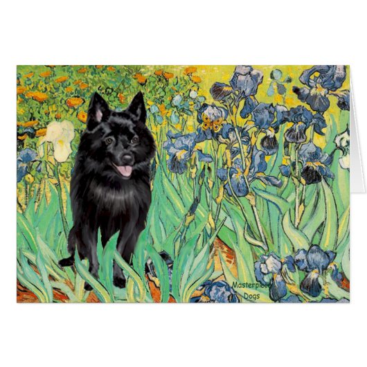 Schipperke 7 - Irises Cards (Front Horizontal)