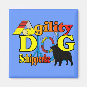 Schipperke Agility Gifts Magnet