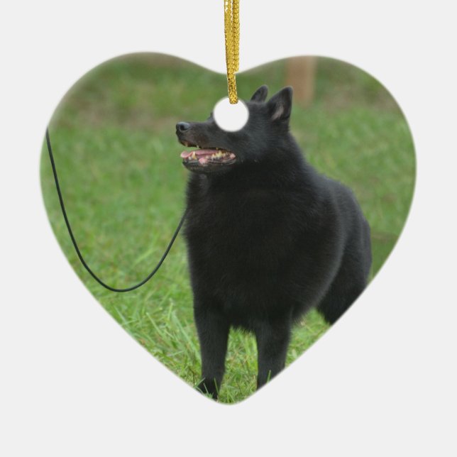 Schipperke Dog Ceramic Ornament (Front)