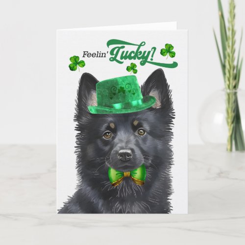 Schipperke Dog Feelin Lucky St Patricks Day Holiday Card