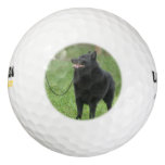 Schipperke Dog Golf Balls