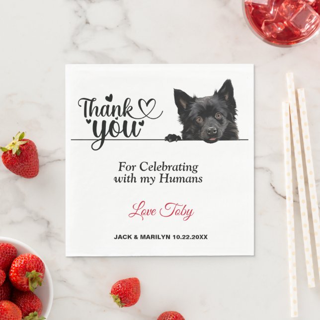 Schipperke Dog Paper Napkins (Insitu)