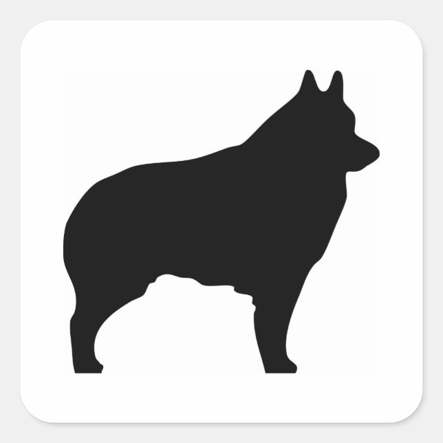 Schipperke dog silhouette square sticker (Front)