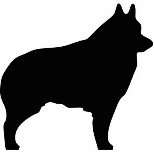Schipperke dog silhouette statuette