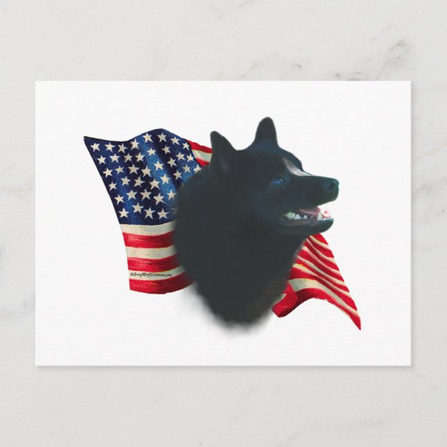 Schipperke Flag Postcard (Front)
