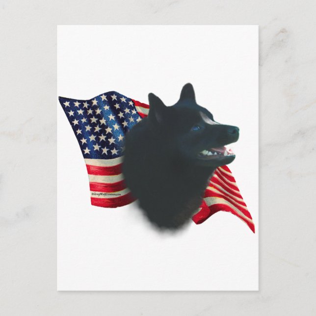 Schipperke Flag Postcard (Front)